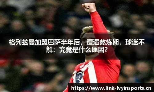 绿茵体育