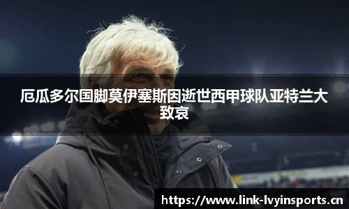 绿茵体育平台
