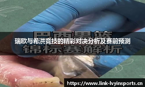 绿茵体育